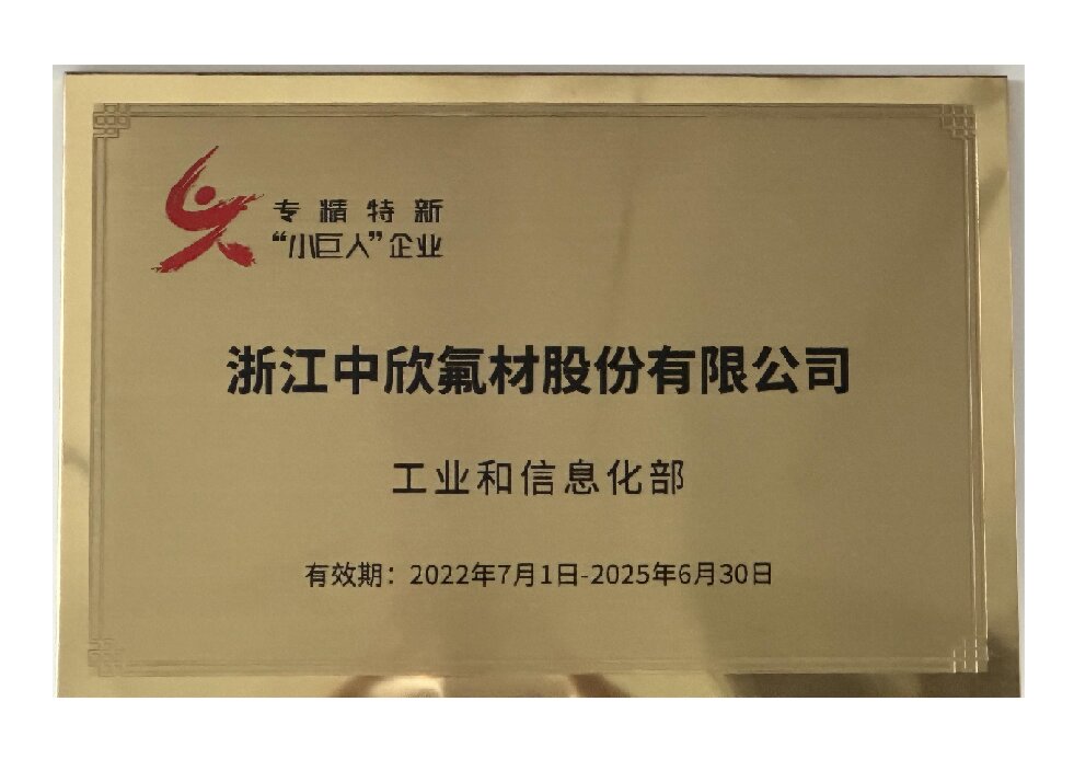 工信部專(zhuān)精特新小巨人企業(yè)